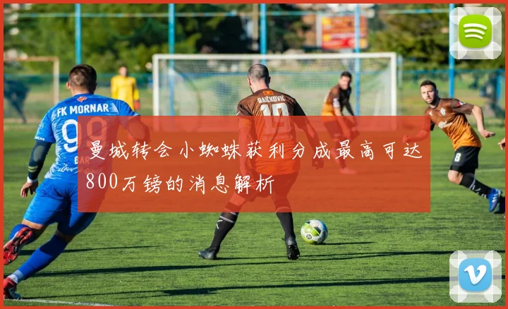 曼城转会小蜘蛛获利分成最高可达800万镑的消息解析