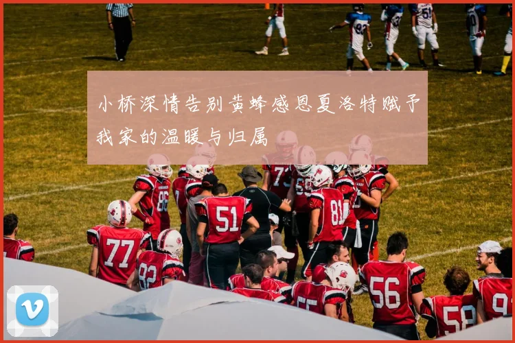 小桥深情告别黄蜂感恩夏洛特赋予我家的温暖与归属