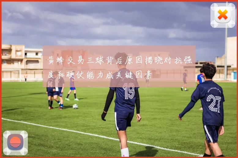 黄蜂交易三球背后原因揭晓对抗强度和硬仗能力成关键因素
