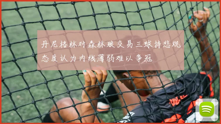 丹尼格林对森林狼交易三球持悲观态度认为内线薄弱难以争冠